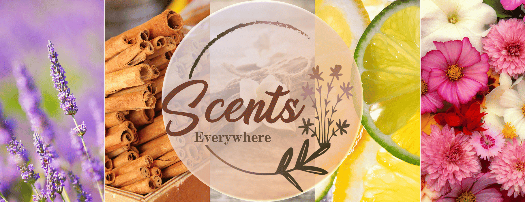 Main Scents Everywhere
